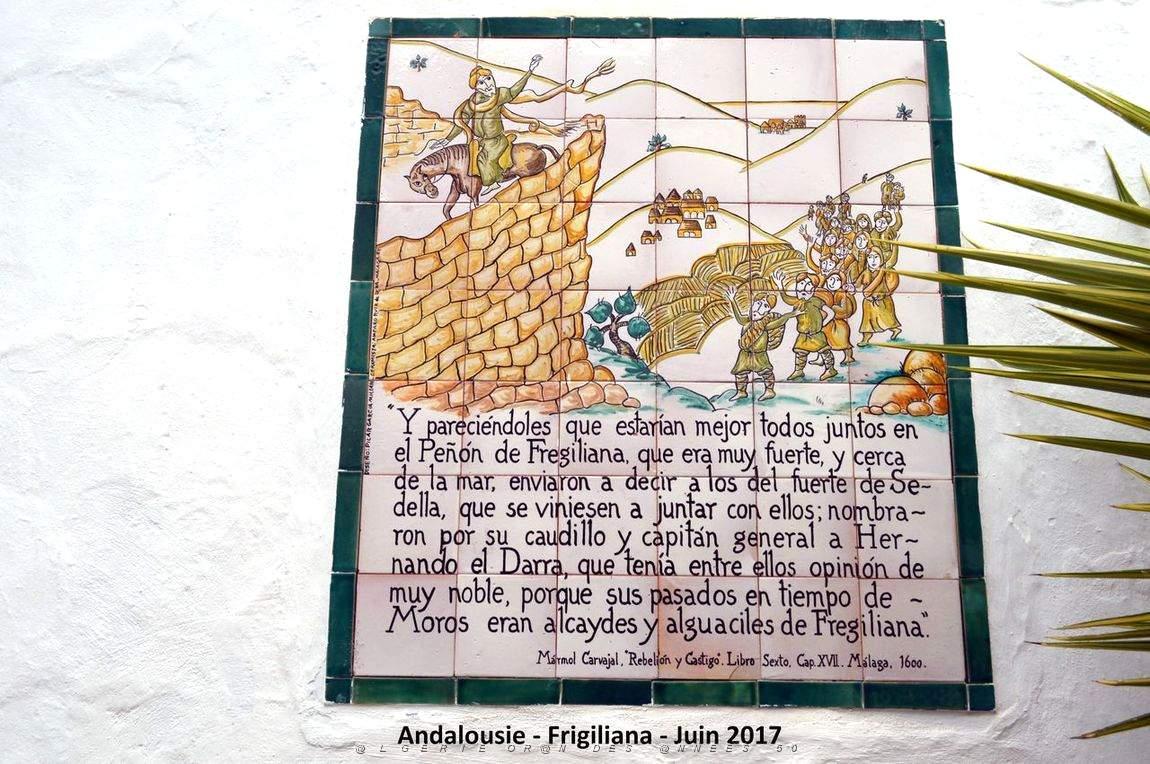 565 - Frigiliana.JPG
